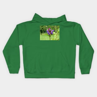 Self Heal - Prunella Vulgaris Kids Hoodie